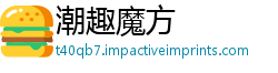 潮趣魔方